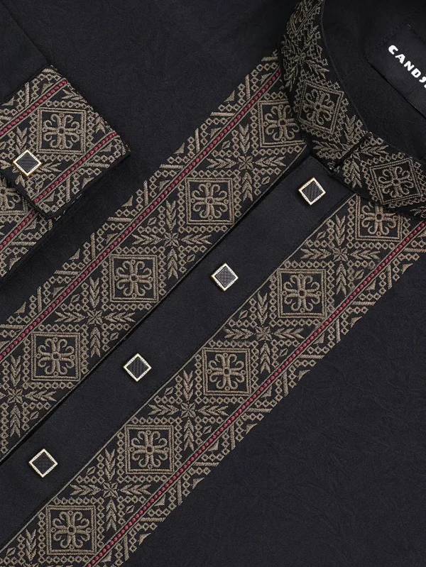 Black Textured & Embroidered Panjabi
